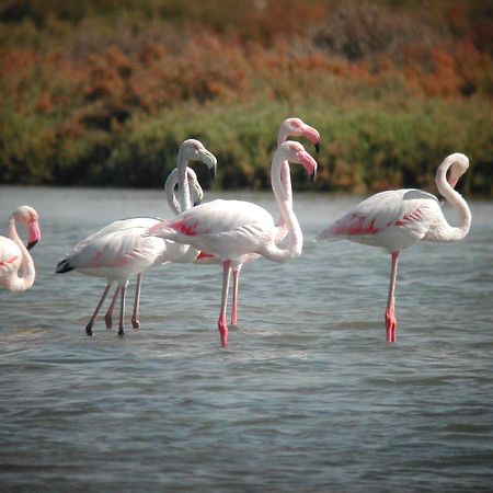Alojamiento Rural Coto De La Isleta El Puerto de Santa María Dış mekan fotoğraf