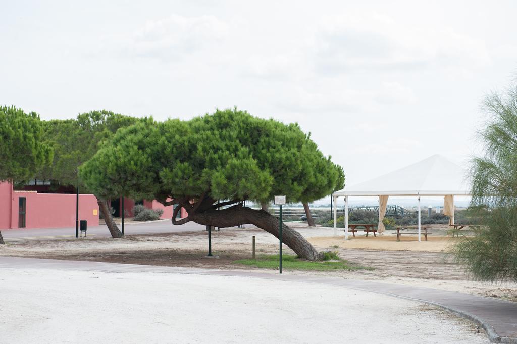 Alojamiento Rural Coto De La Isleta El Puerto de Santa María Dış mekan fotoğraf