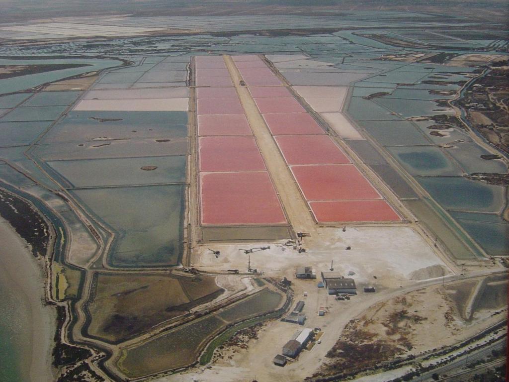 Alojamiento Rural Coto De La Isleta El Puerto de Santa María Dış mekan fotoğraf